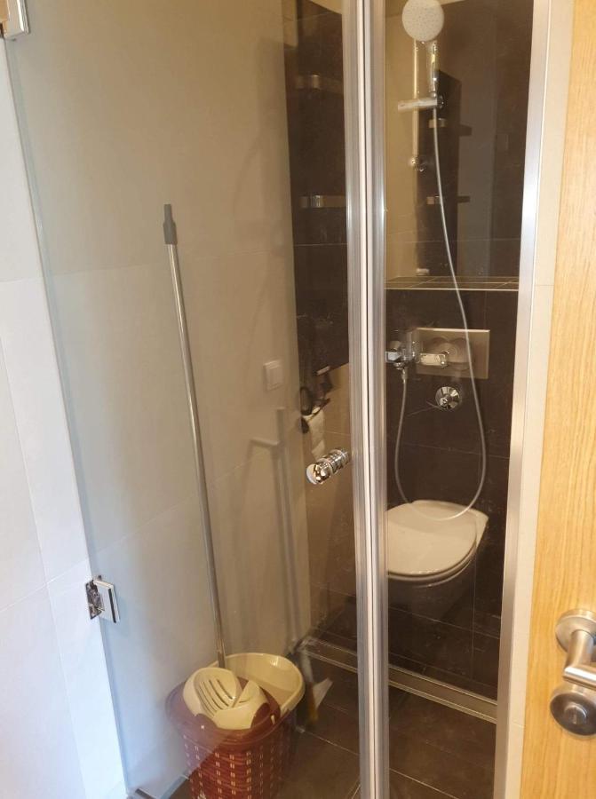 Vila Irina - Apartman Milos Kopaonik Exterior foto