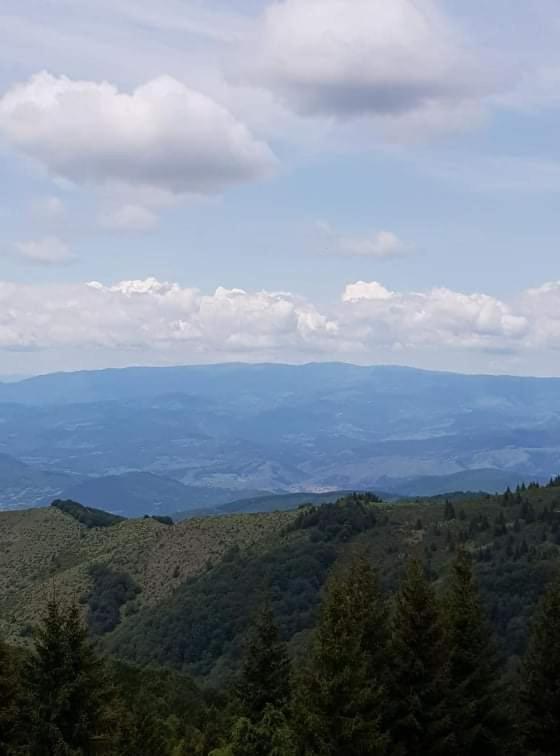 Vila Irina - Apartman Milos Kopaonik Exterior foto