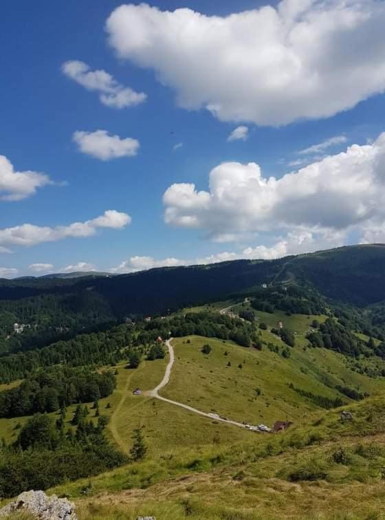 Vila Irina - Apartman Milos Kopaonik Exterior foto
