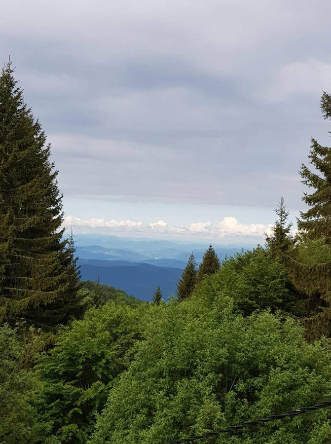 Vila Irina - Apartman Milos Kopaonik Exterior foto